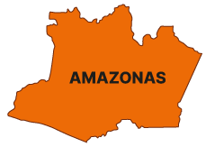 Desenho do estado do Amazonas